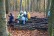 Kinder klettern über Baumstämme im Wald.